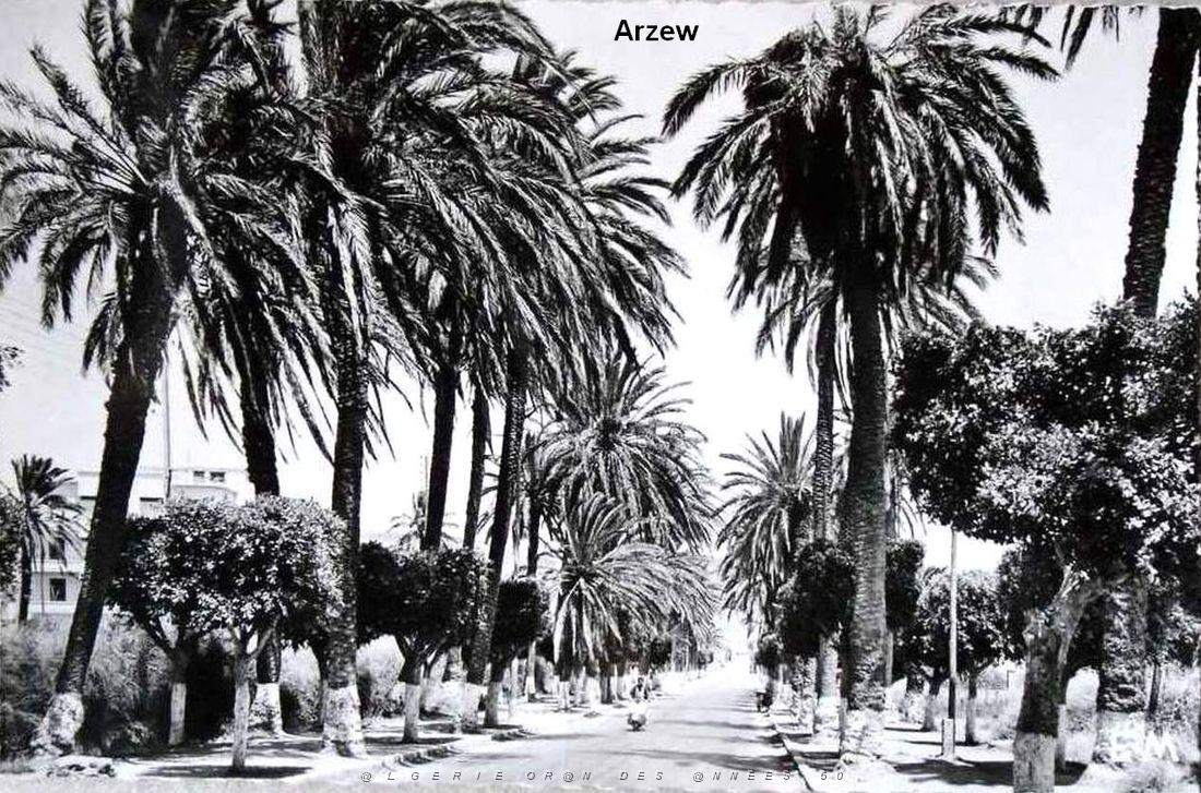Arzew 197.jpg